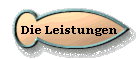 Die Leistungen